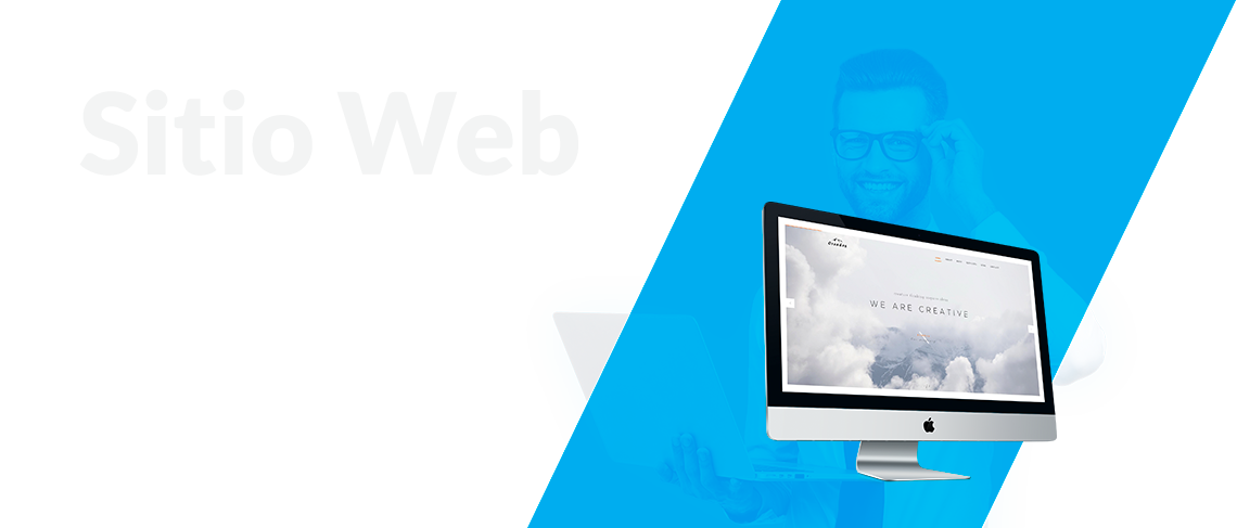 Banner Araña