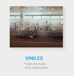 Vinil